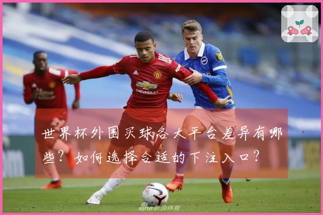 世界杯外围买球各大平台差异有哪些?如何选择合适的下注入口?