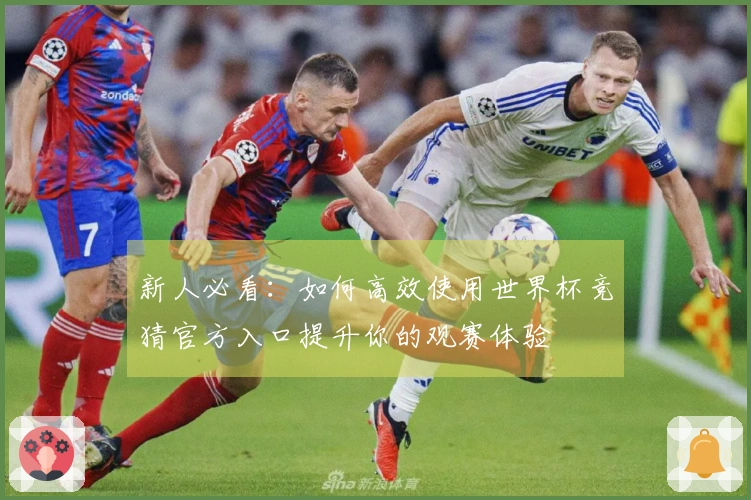 新人必看：如何高效使用世界杯竞猜官方入口提升你的观赛体验