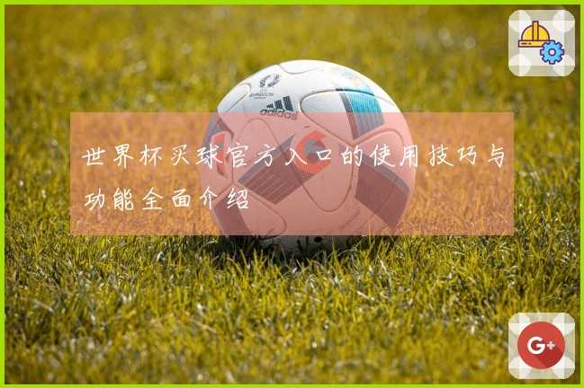世界杯买球官方入口的使用技巧与功能全面介绍