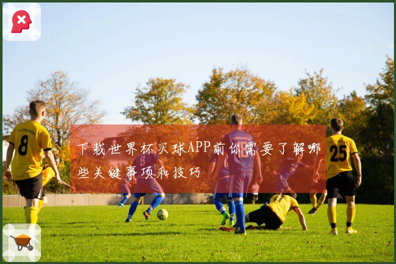 下载世界杯买球APP前你需要了解哪些关键事项和技巧