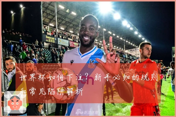 世界杯如何下注？新手必知的规则和常见陷阱解析