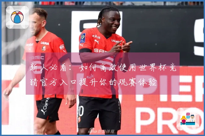 新人必看：如何高效使用世界杯竞猜官方入口提升你的观赛体验