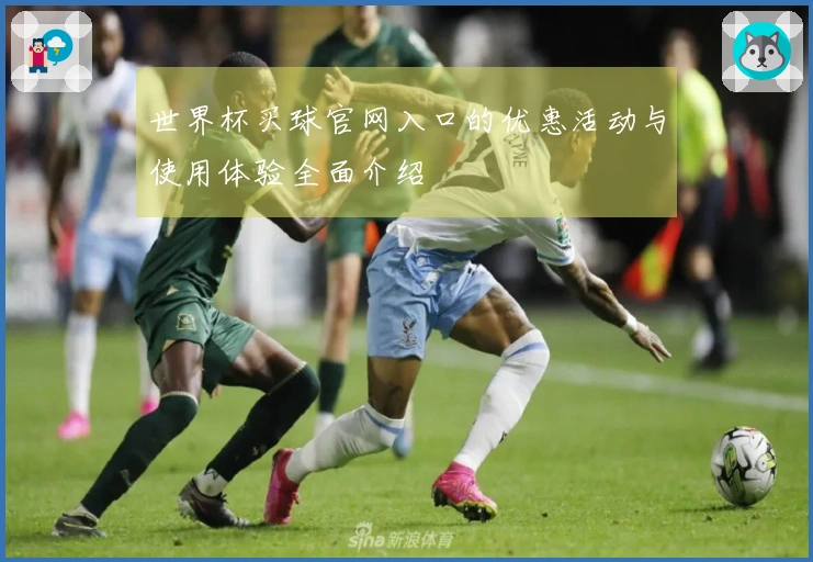 世界杯买球官网入口的优惠活动与使用体验全面介绍