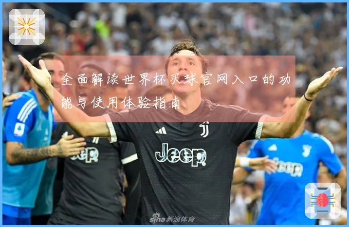 全面解读世界杯买球官网入口的功能与使用体验指南