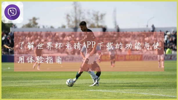 了解世界杯竞猜APP下载的功能与使用体验指南