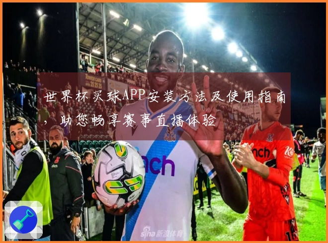 世界杯买球APP安装方法及使用指南,助您畅享赛事直播体验