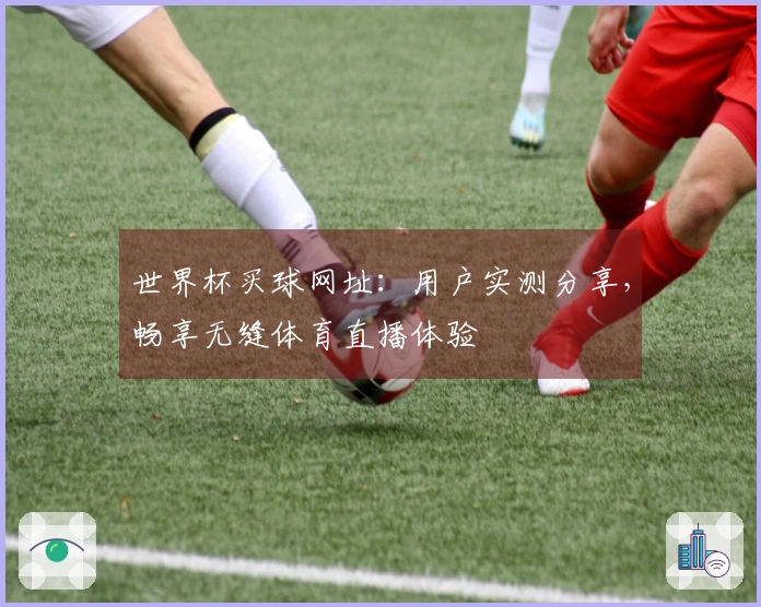 世界杯买球网址:用户实测分享,畅享无缝体育直播体验