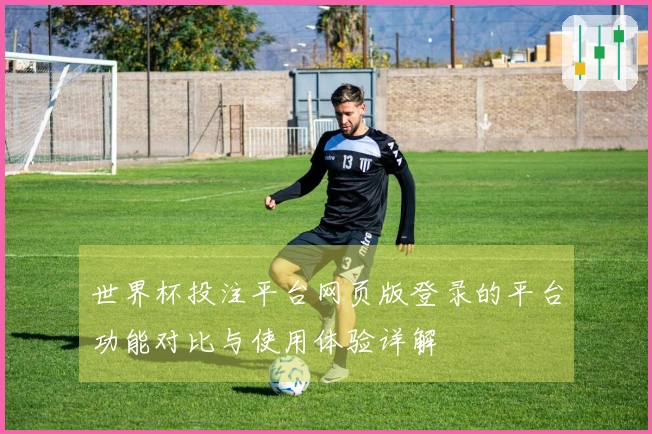 世界杯投注平台网页版登录的平台功能对比与使用体验详解