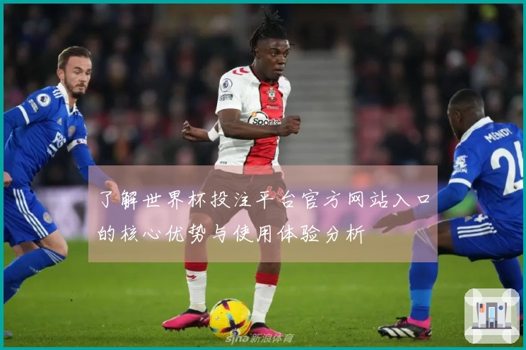 了解世界杯投注平台官方网站入口的核心优势与使用体验分析