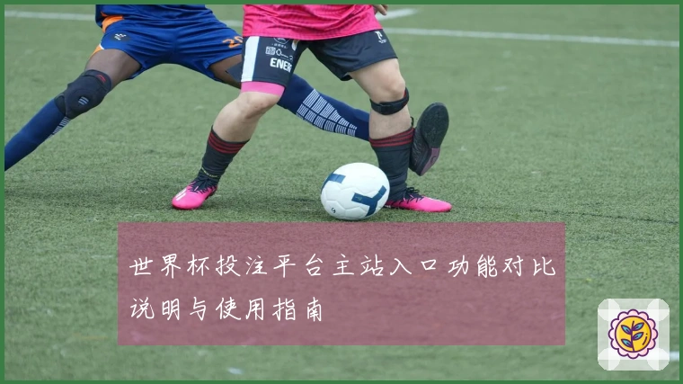 世界杯投注平台主站入口功能对比说明与使用指南